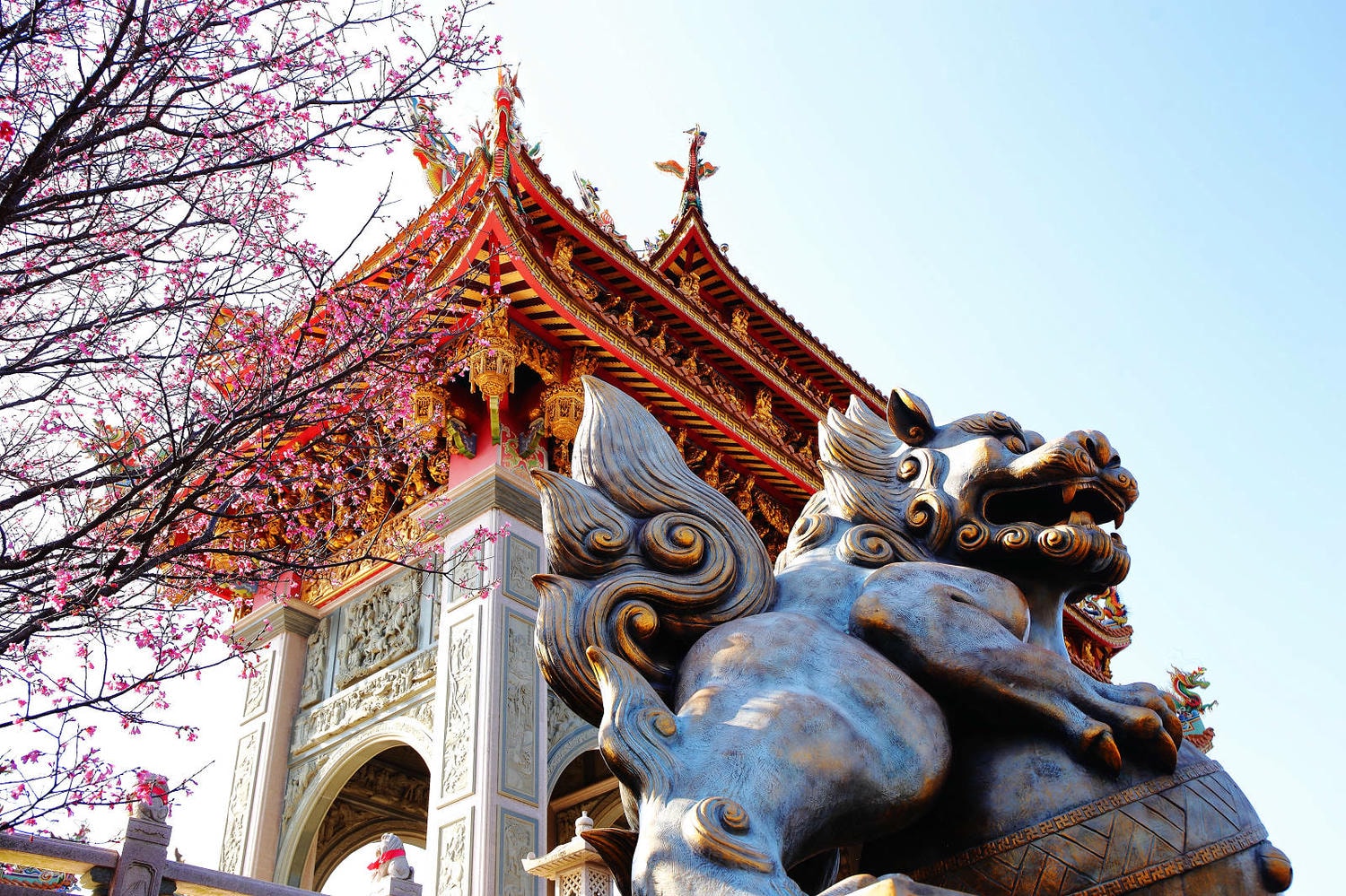 北部賞櫻景點-林口竹林山觀音寺,莊嚴的廟宇+柔和粉嫩的櫻花,拜拜兼賞花! - 第8張圖 北部賞櫻景點-林口竹林山觀音寺,莊嚴的廟宇+柔和粉嫩的櫻花,拜拜兼賞花!