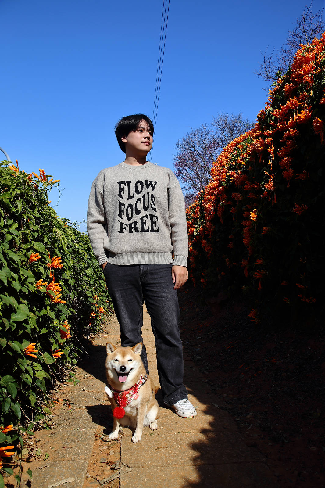 苗栗銅鑼炮仗花海公園，500公尺美麗的黃金瀑布絕美橘色花海綿延，季節限定美景