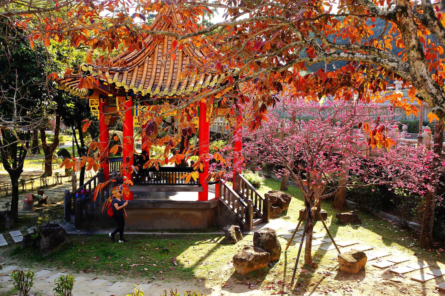 北部賞櫻景點-林口竹林山觀音寺,莊嚴的廟宇+柔和粉嫩的櫻花,拜拜兼賞花! - 第11張圖 北部賞櫻景點-林口竹林山觀音寺,莊嚴的廟宇+柔和粉嫩的櫻花,拜拜兼賞花!