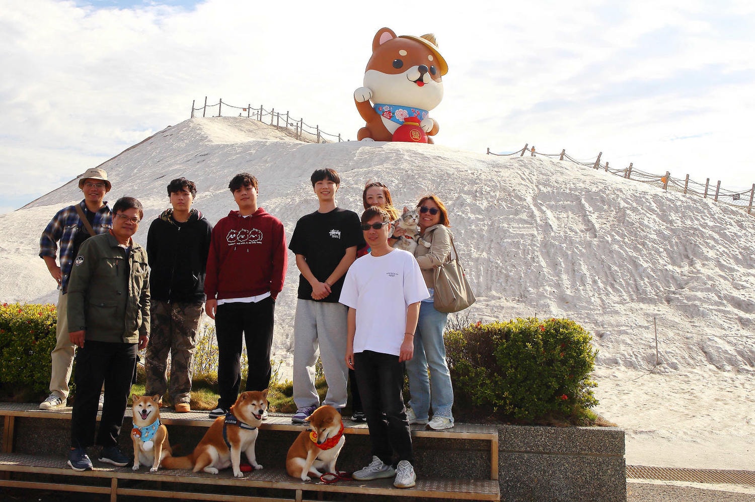 【台南景點】台南超萌新地標！巨型柴犬「鹹DOG DOG」出沒七股鹽山！