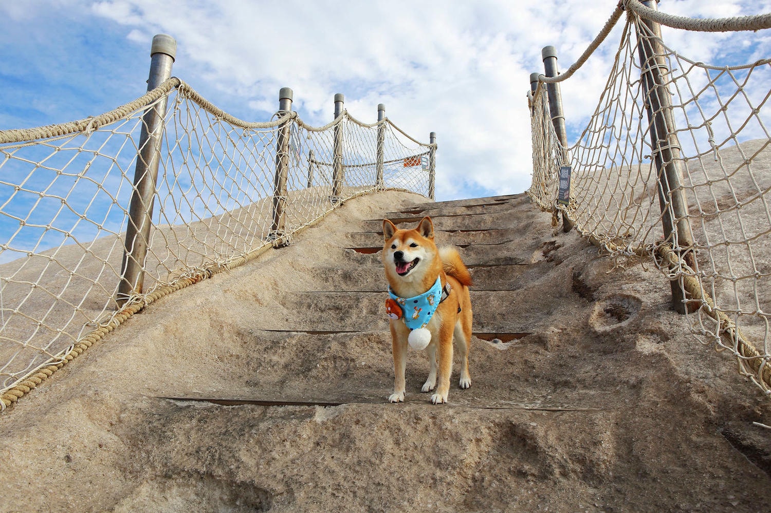 【台南景點】台南超萌新地標！巨型柴犬「鹹DOG DOG」出沒七股鹽山！