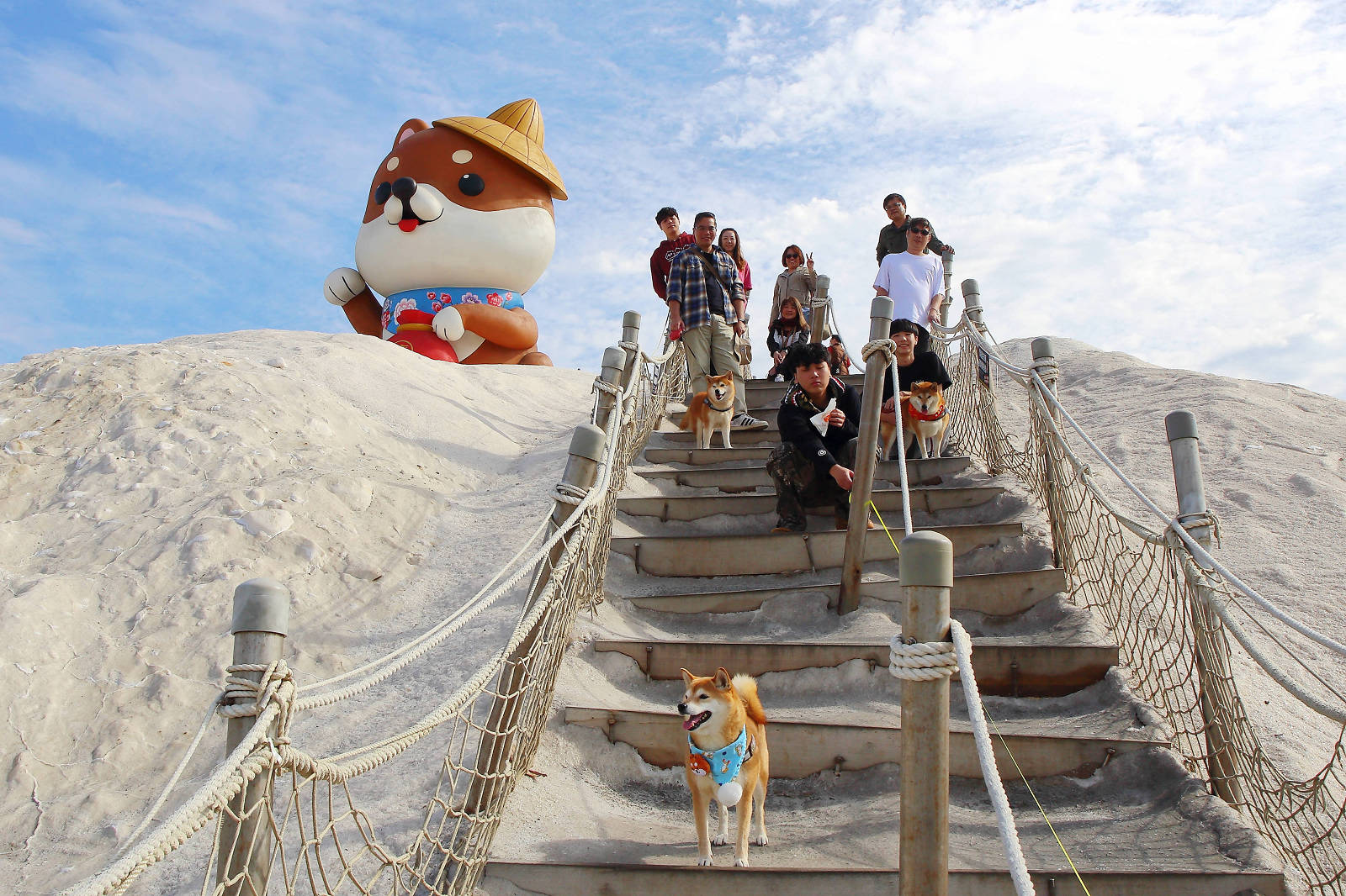 【台南景點】台南超萌新地標！巨型柴犬「鹹DOG DOG」出沒七股鹽山！