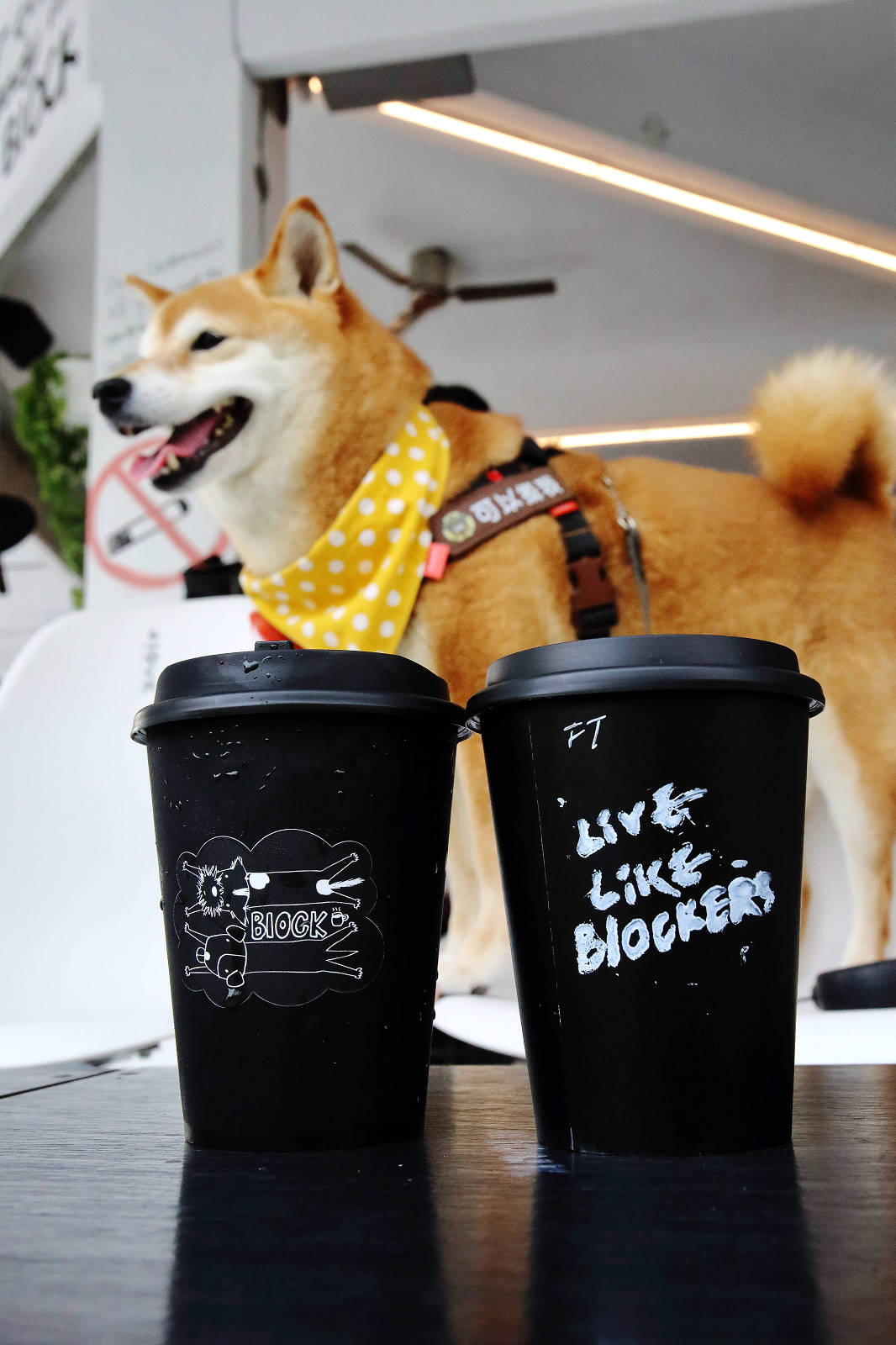 塗鴉廢墟風的宜蘭咖啡館- BlOCK COFFEE,三層樓的老房子改建而成,塗鴉廢墟風與現代工業風的結合,氣氛意境風格照片這裡拍! - 第25張圖 塗鴉廢墟風的宜蘭咖啡館- BlOCK COFFEE,三層樓的老房子改建而成,塗鴉廢墟風與現代工業風的結合,氣氛意境風格照片這裡拍!