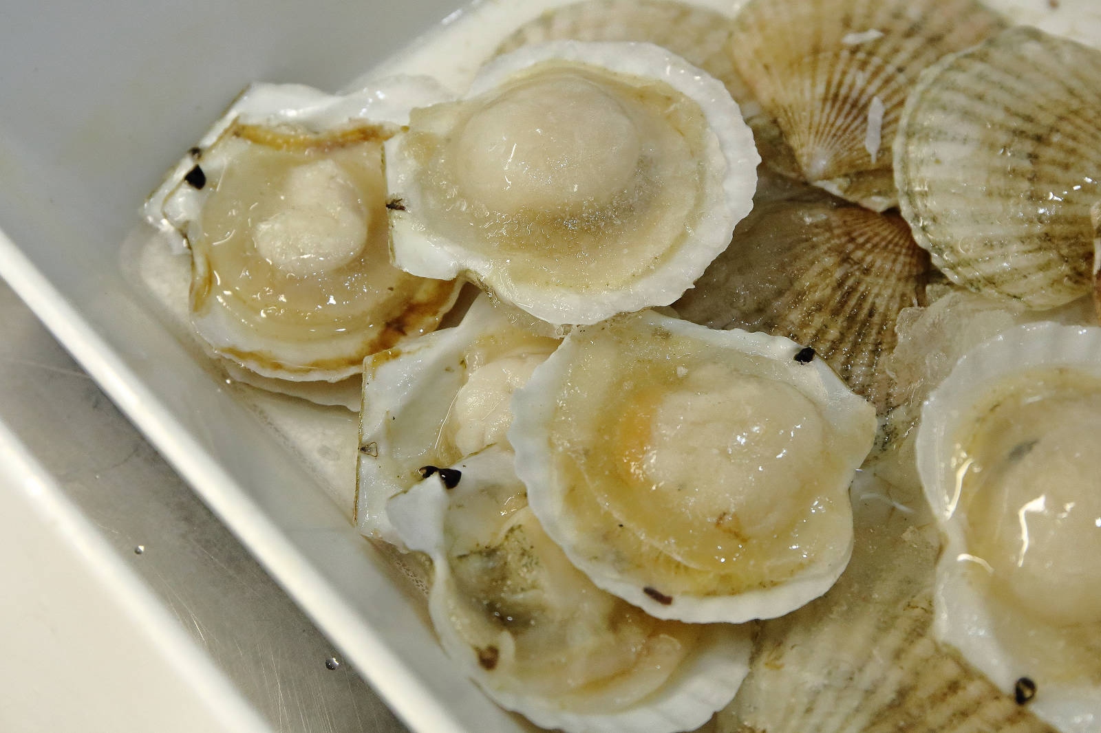 【龍潭烤肉吃到飽】豬對有燒烤龍潭店,只要299元,超過80種食材讓你無限取用呷免驚! - 第9張圖 【龍潭烤肉吃到飽】豬對有燒烤龍潭店,只要299元,超過80種食材讓你無限取用呷免驚!
