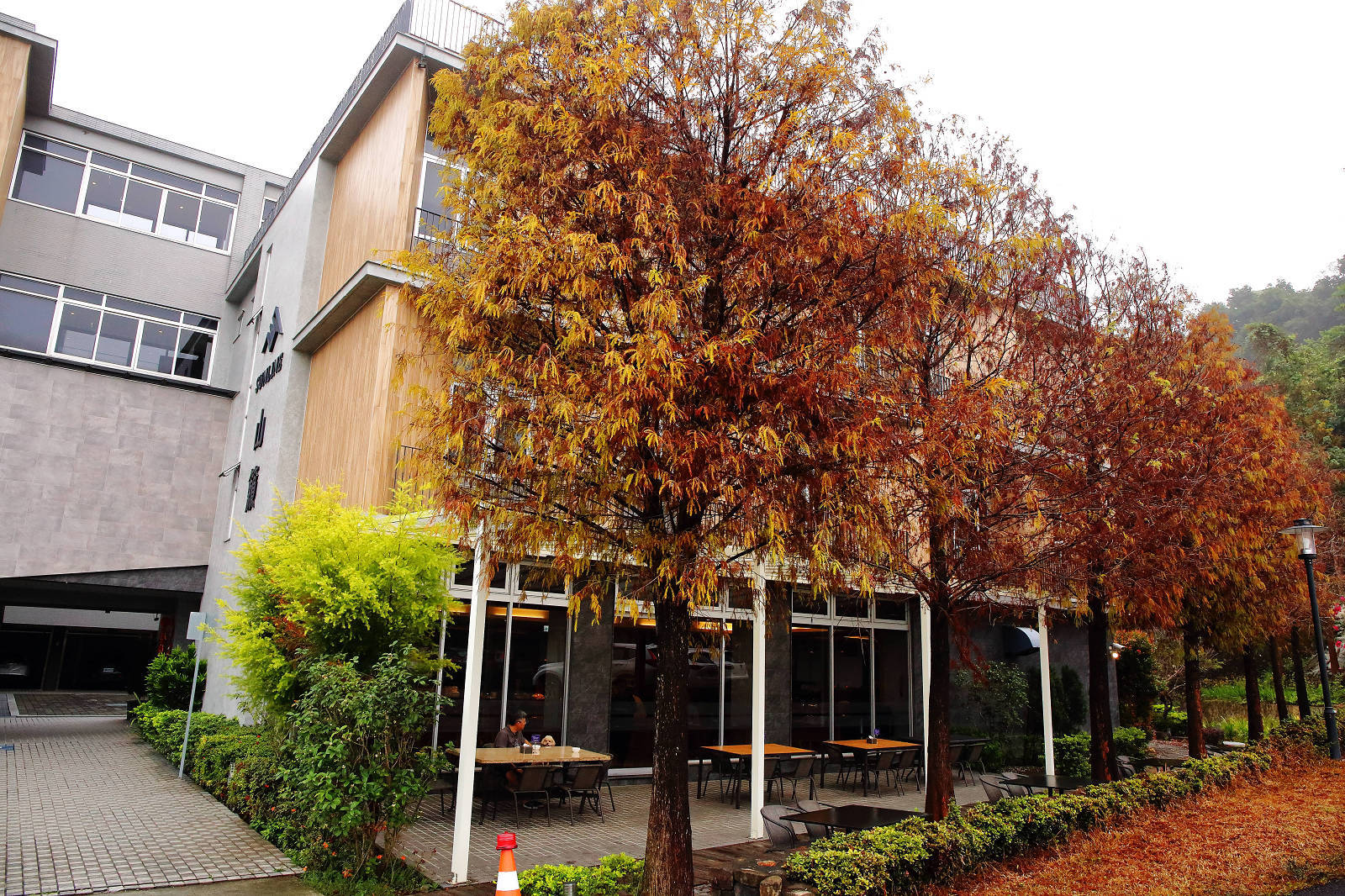 【台南寵物友善住宿】山籟渡假會館，狗狗友善的溫泉旅館，到關子嶺溫泉區泡湯吃美食