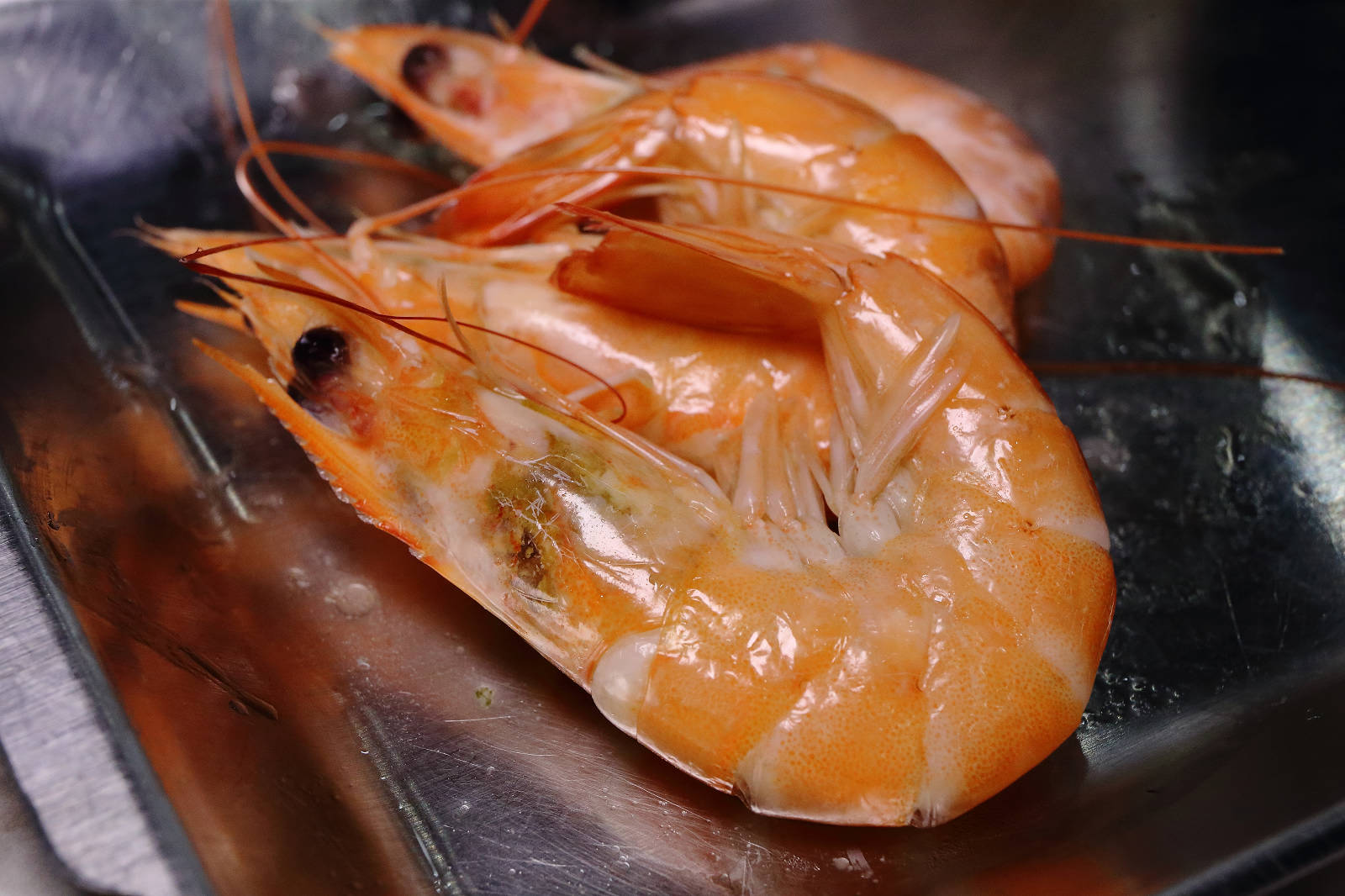 【龍潭烤肉吃到飽】豬對有燒烤龍潭店,只要299元,超過80種食材讓你無限取用呷免驚! - 第47張圖 【龍潭烤肉吃到飽】豬對有燒烤龍潭店,只要299元,超過80種食材讓你無限取用呷免驚!