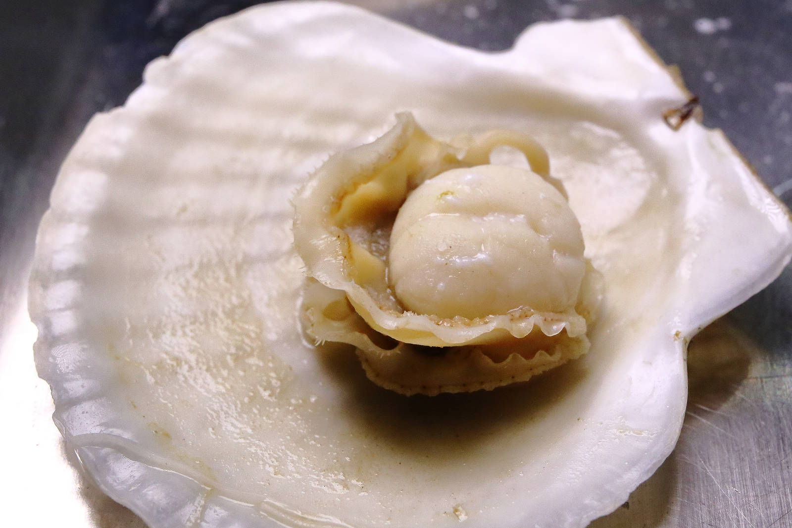 【龍潭烤肉吃到飽】豬對有燒烤龍潭店,只要299元,超過80種食材讓你無限取用呷免驚! - 第49張圖 【龍潭烤肉吃到飽】豬對有燒烤龍潭店,只要299元,超過80種食材讓你無限取用呷免驚!